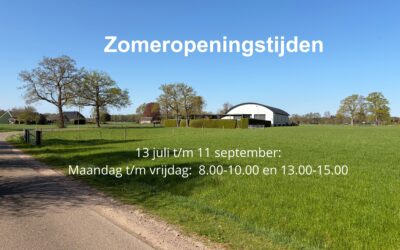 Zomerrooster
